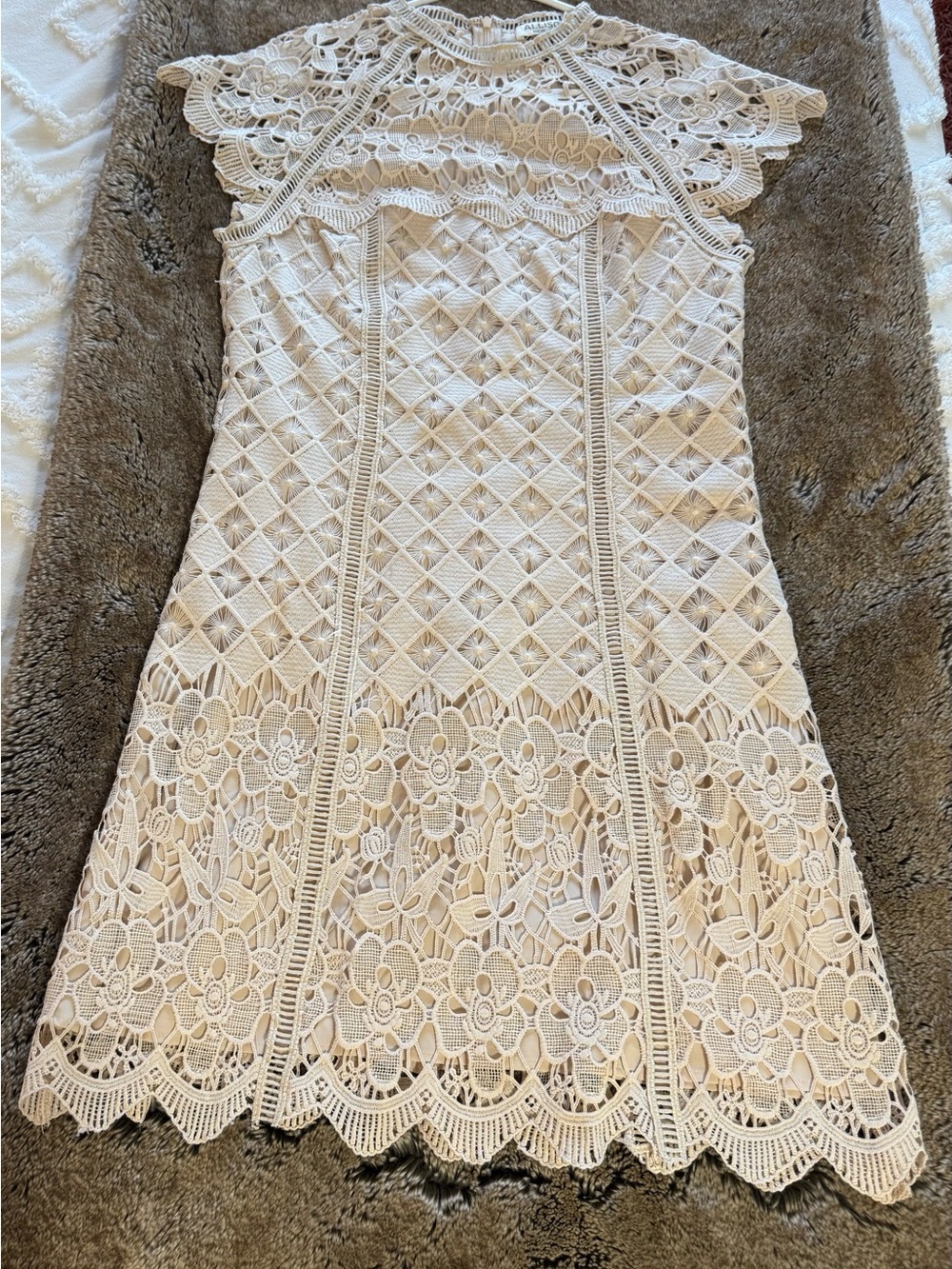 Cream Crochet sheath Dress with Floral Lace Details